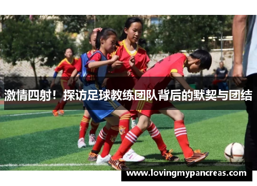 激情四射！探访足球教练团队背后的默契与团结